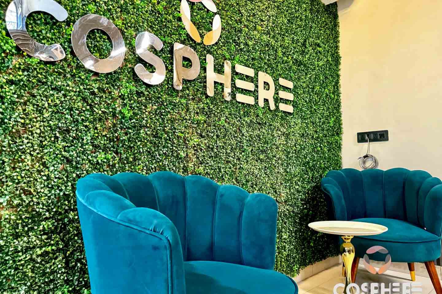 Cosphere Spaces - Netaji Subhash Place, Netaji Subhash Place — photo 1